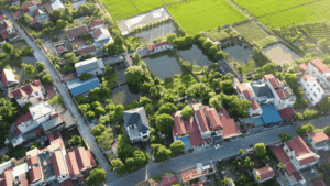 Pháp lý đất